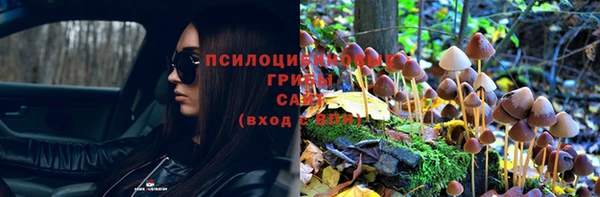молекула духа Абаза